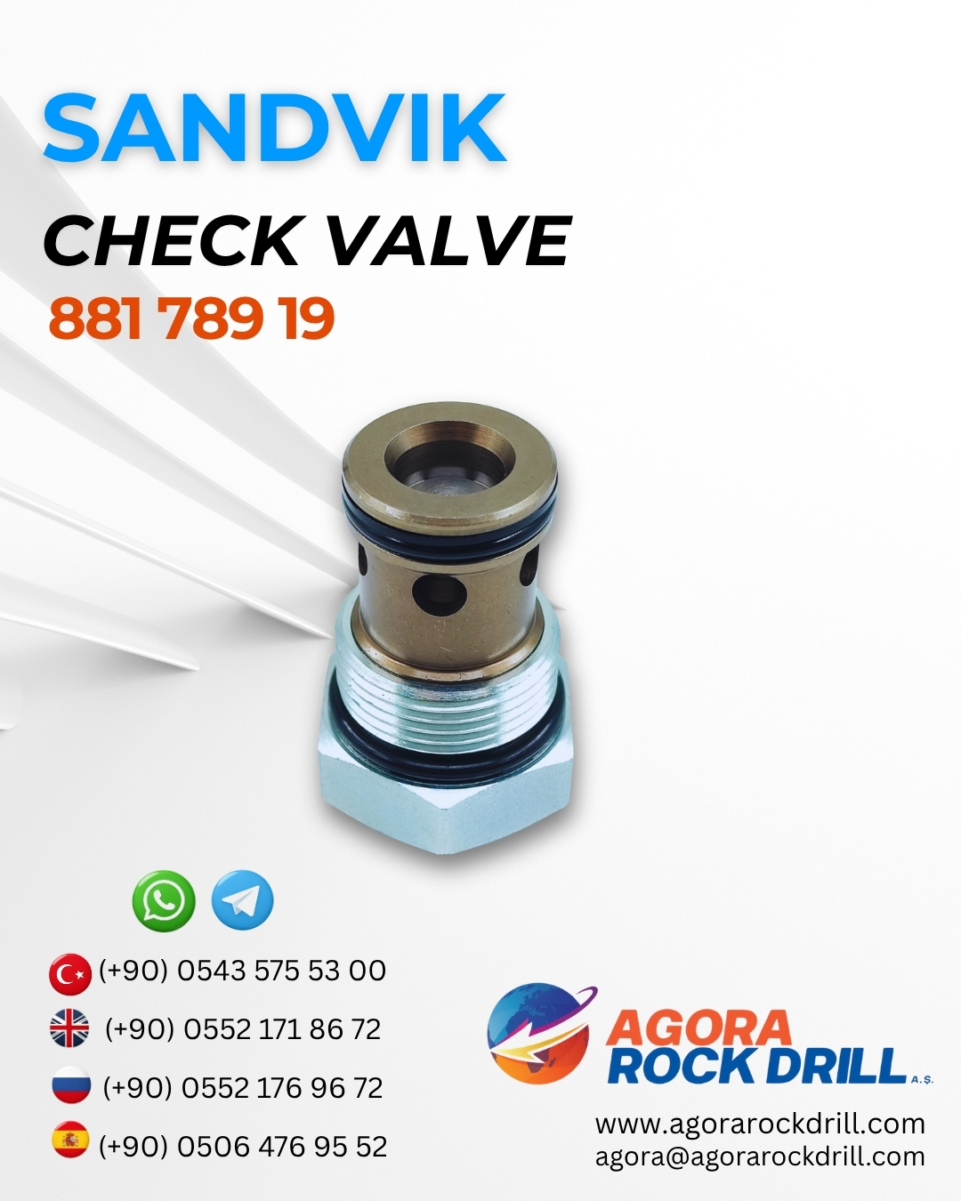 Sandvik - Check Valve - 881 789 19 - 88178919