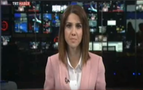 TRT Haber-ICDDA'14 Basın Toplantısı