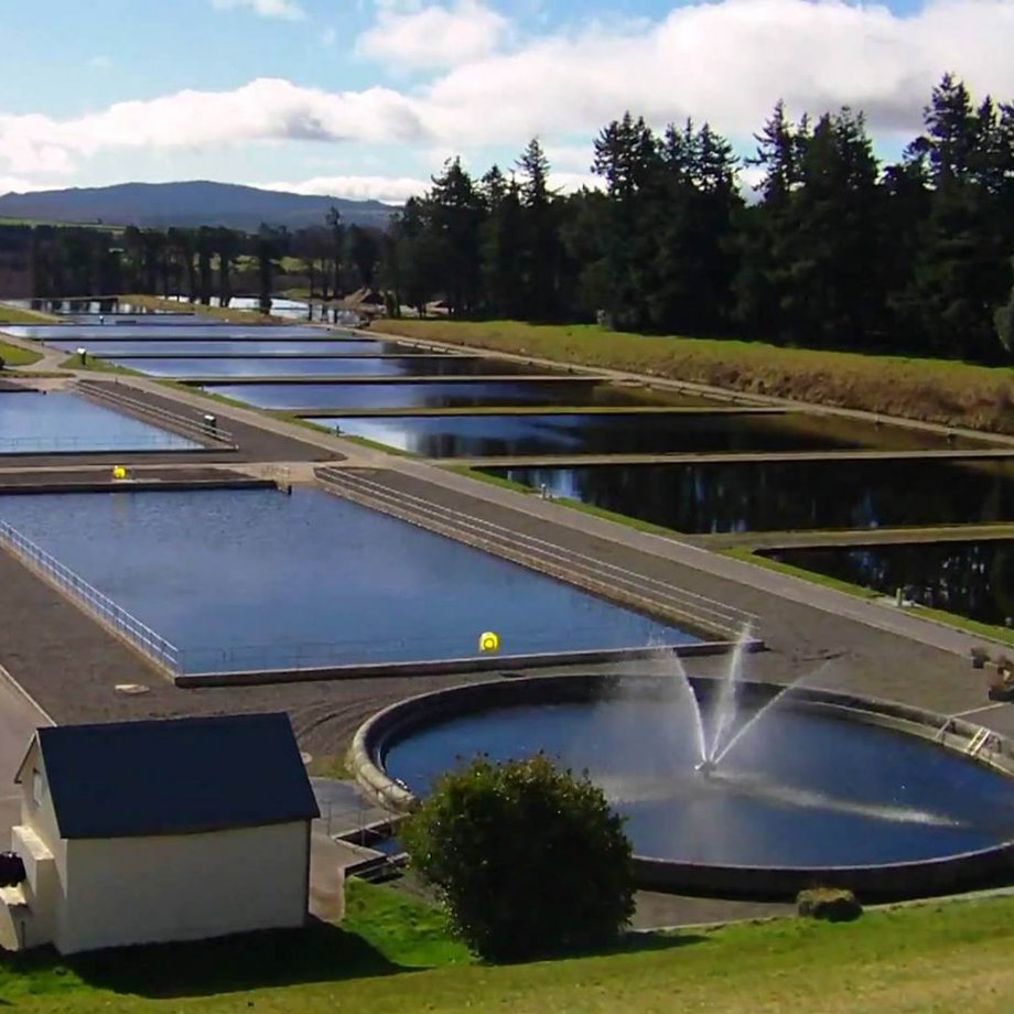 Waste Water Chemicals