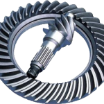 AYNA  MAHRUTİ  DİŞLİ