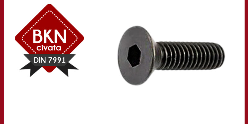 HAVSABAŞ INBUS TYPES