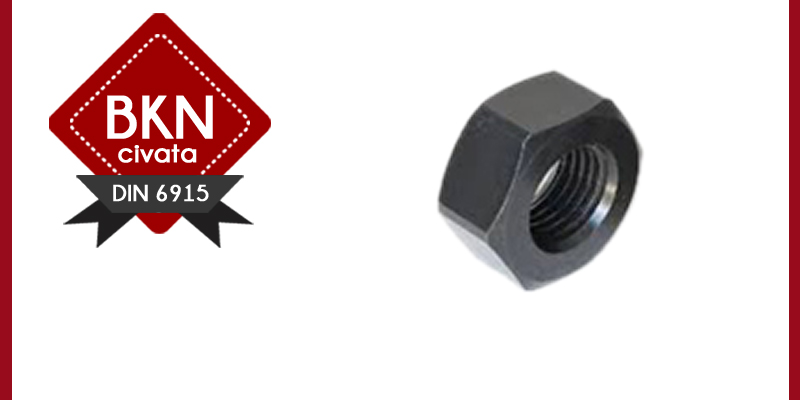 AĞIR YÜK SOMUNLARI