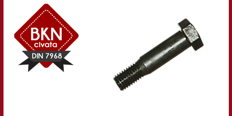 ALTIKÖŞE CIVATALAR