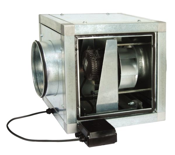 TEK EMİŞLİ SALYANGOZ FANLAR