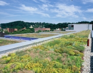 Economic Roofing Solution