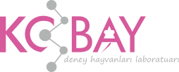 Kobay Deney Hayvanları Lab. San. Ve Tic. A.Ş.