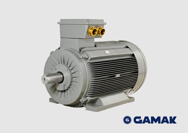 Orta Gerilim Motorlar