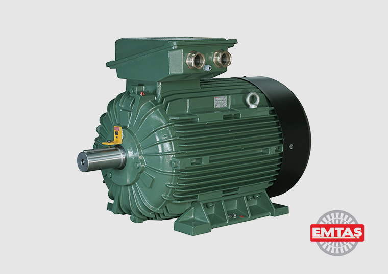 Genel Maksatlı Sanayi Tipi Motor