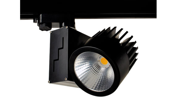 Risus Ray Soketli Spot