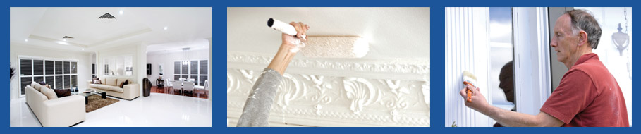 İç ve Dış Cephe Boyaları