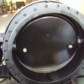 The butterfly valve