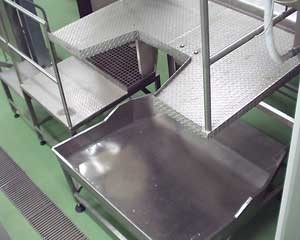 Internal Organ EXTRACTION PLATFORM AND GROOVE