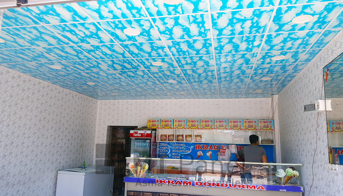 PVC ASMA TAVAN SİSTEMLERİ