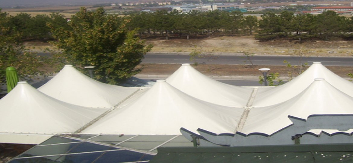 ASMA/GERME SİSTEMLERİ