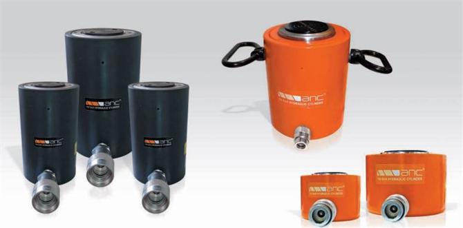 Tek Etkili Yük Dönüşlü Silindirler