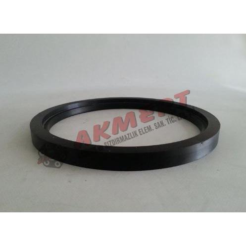 Putzmeister Baskı Ringi