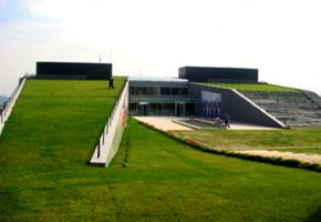 Çatı Grubu - Ondugreen