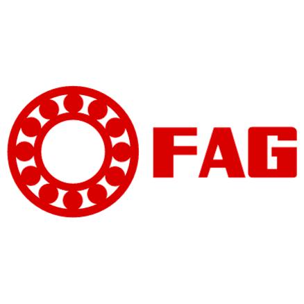 Fag Bearing