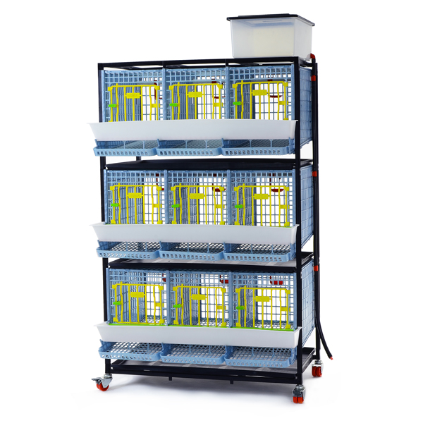 Keklik Kafesi – 3 gözlü / 3 katlı