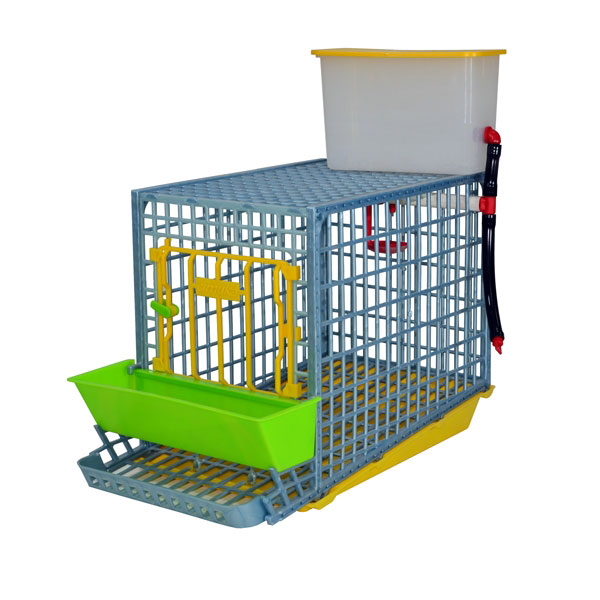 Chicken Cage – MINI