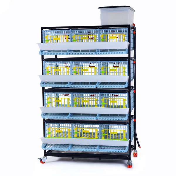 Bıldırcın Kafesi 3 Gözlü / 4 Katlı