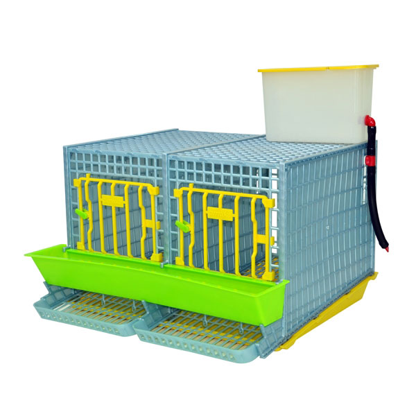 Keklik Kafesi – MİDİ