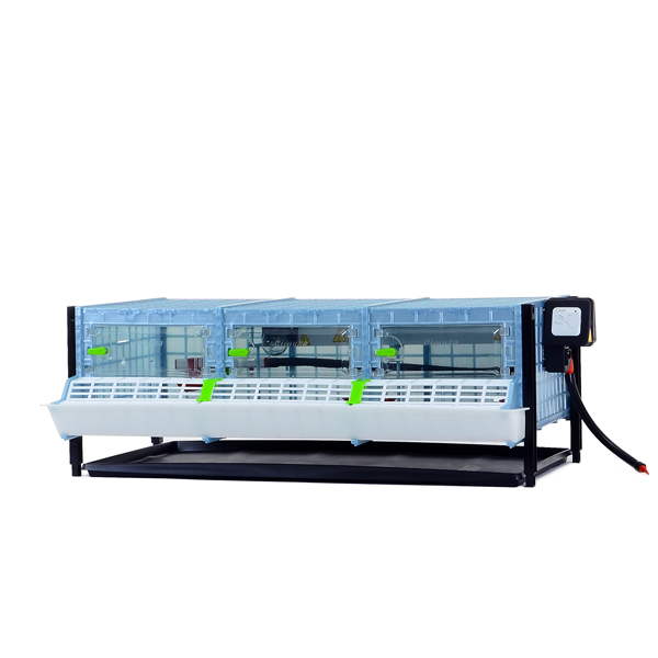 Civciv Kafesi CB25 / KAT ARTIRIM