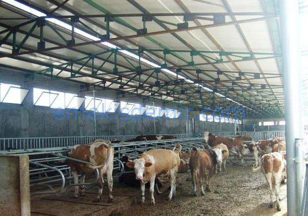 Çelik Hayvan Barınakları