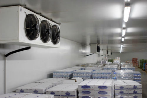 Cold Room and Chiller Systems