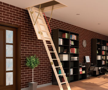 Roof Exit Ladder