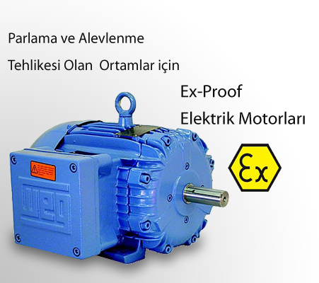 EX-PROOF ELEKTRİK MOTORU