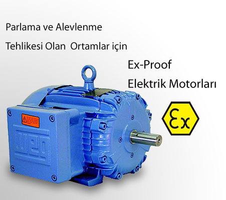 EX-PROOF ELECTRIC MOTOR