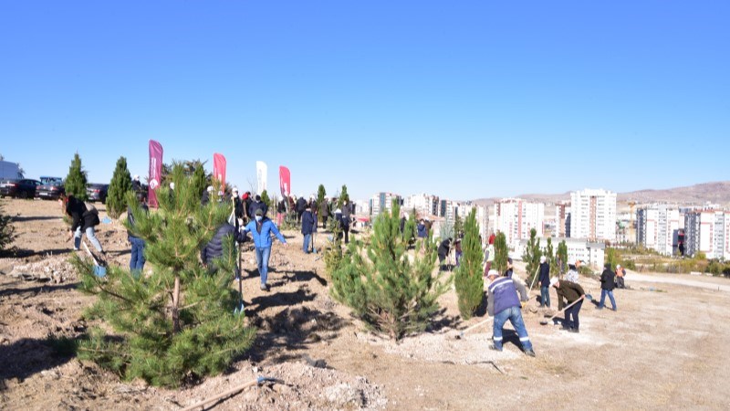 OSTİM’de 3 Bin Fidan Toprakla Buluştu