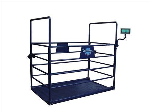 Canlı Hayvan Baskülü Kantarı Ankara 385 98 72