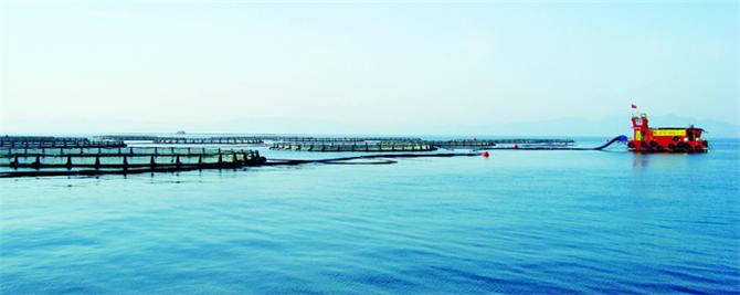 Balık Yemleme Otomasyonu