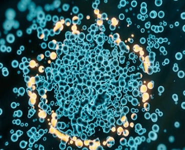 Nano-Micro-Particles