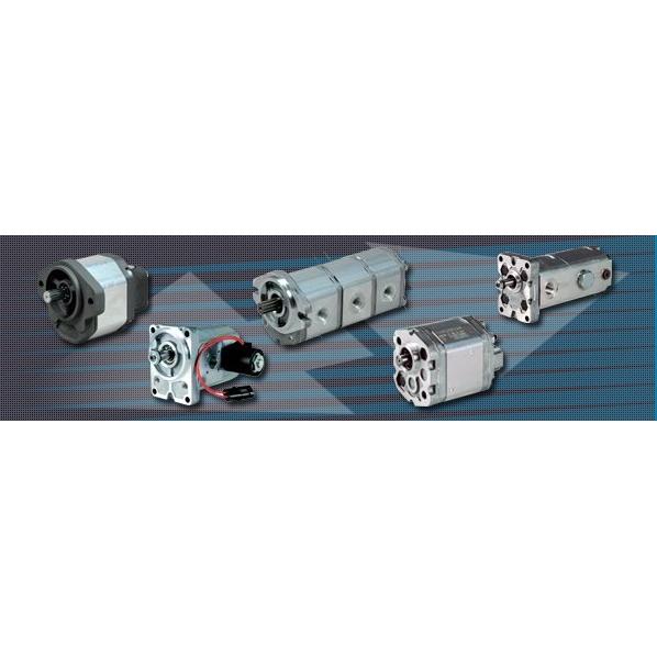 Yüksek Basınç Dişli Hidrolik Pompa ve Dişli Hidrolik Motorlar