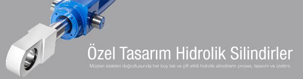 Özel Tasarım Hidrolik Silindir