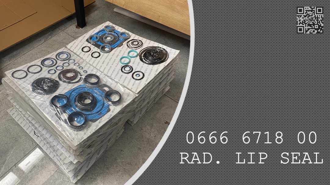 RADIAL LIP SEAL - 0666 6718 00 - 0666671800