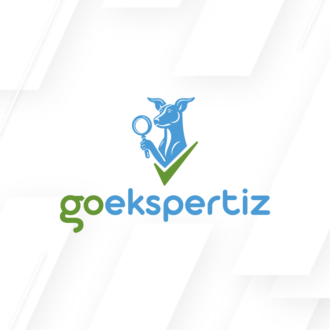GO EKSPERTİZ HİZMETLERİ LTD. ŞTİ.