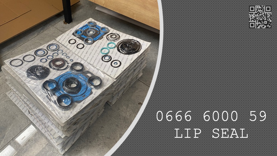 LIP SEAL  -  0666 6000 59 - 0666600059