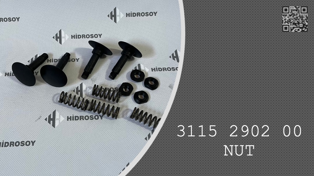 NUT.  -  3115 2902 00 - 3115290200