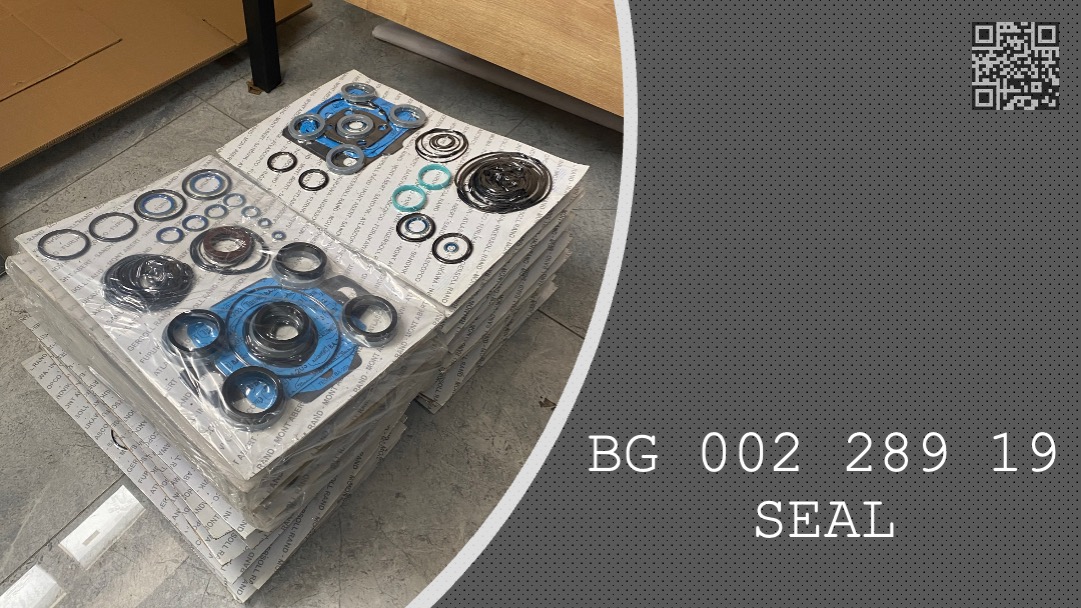 SEAL  -  BG 002 289 19 - BG00228919