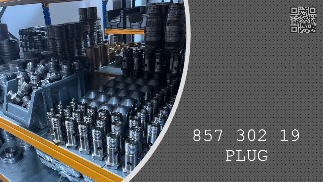 PLUG  -  857 302 19 - 85730219