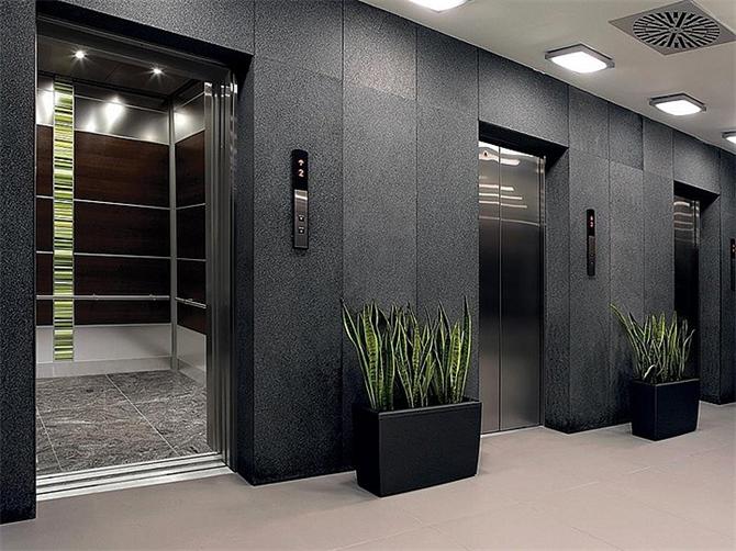 X-Vadi Residences Elevator Systems