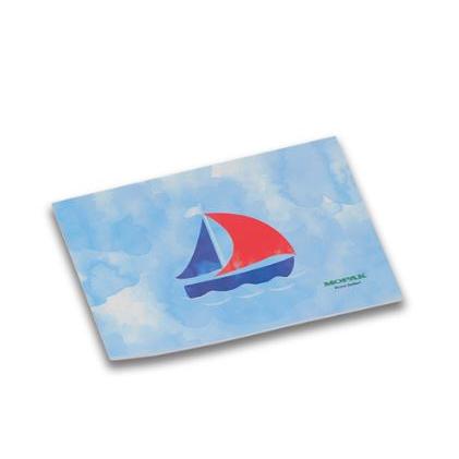 Sailboat Dream Picture Book