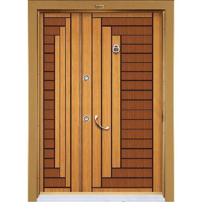Laminate Panel Steel Door