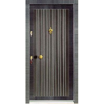 Paneled Steel Door