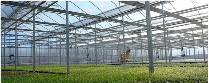 Greenhouse Construction Systems