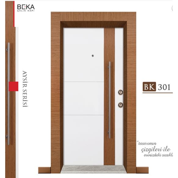Aysir Series / BK-301 Steel Door